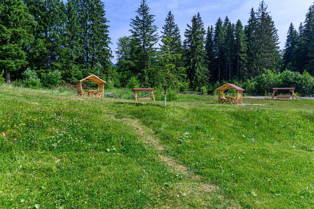 Pine Woods Studio D113 In Silver Mountain Poiana Brasov Bagian luar foto